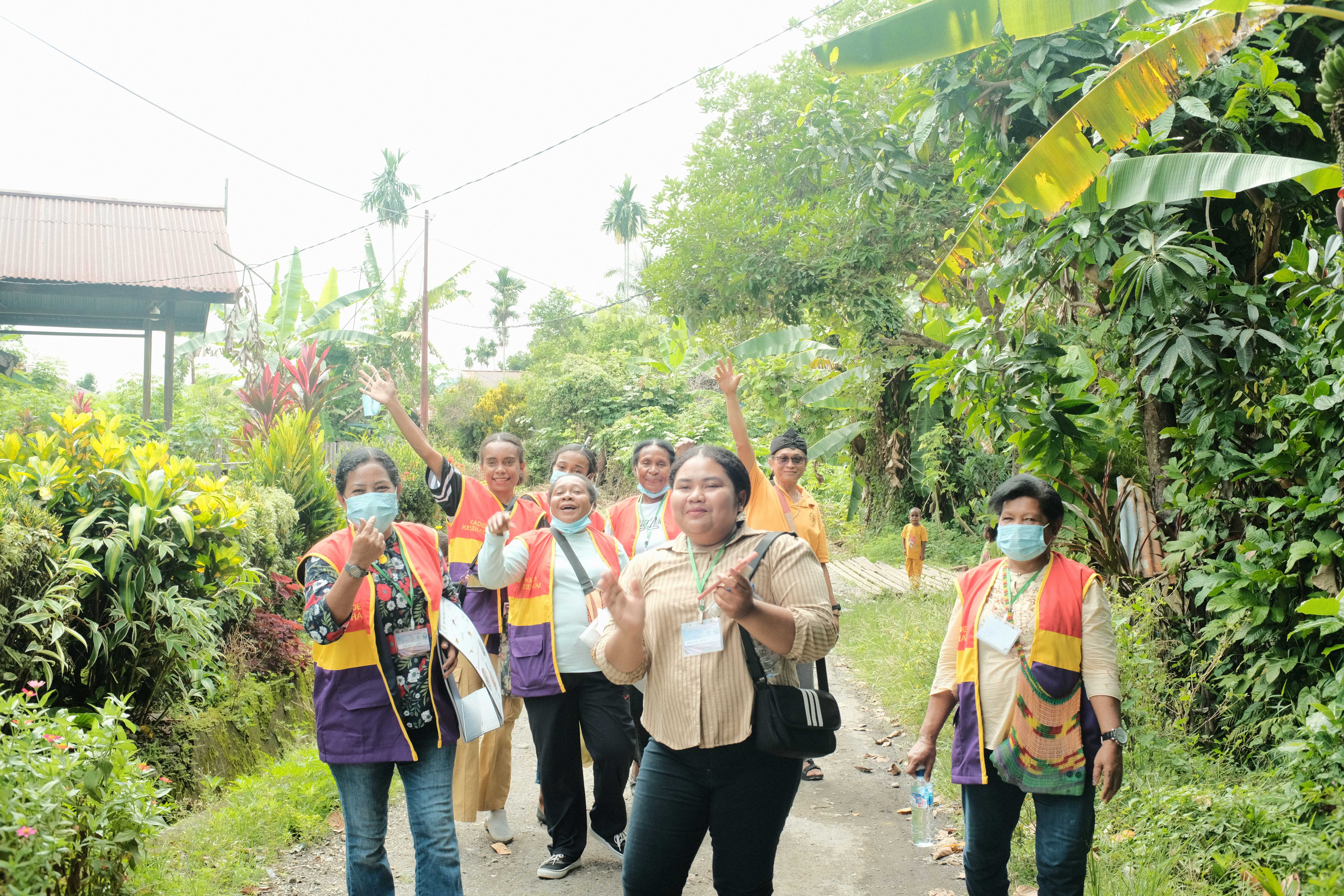 First Phase Assessment: System and Resource Readiness for Implementing the PERKASA Cadre Programme in Jayapura, Nabire, and Merauke